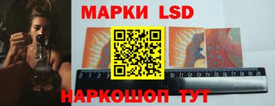 прущие грибы Моздок