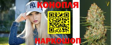 прущие грибы Моздок