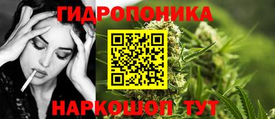 прущие грибы Моздок