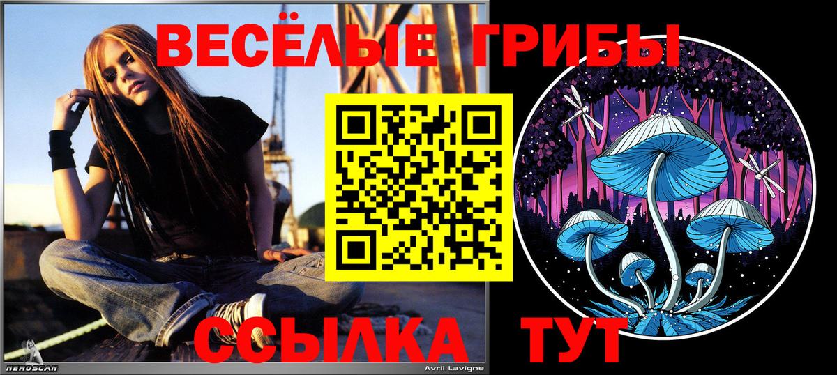 Псилоцибиновые грибы мухоморы Чистополь