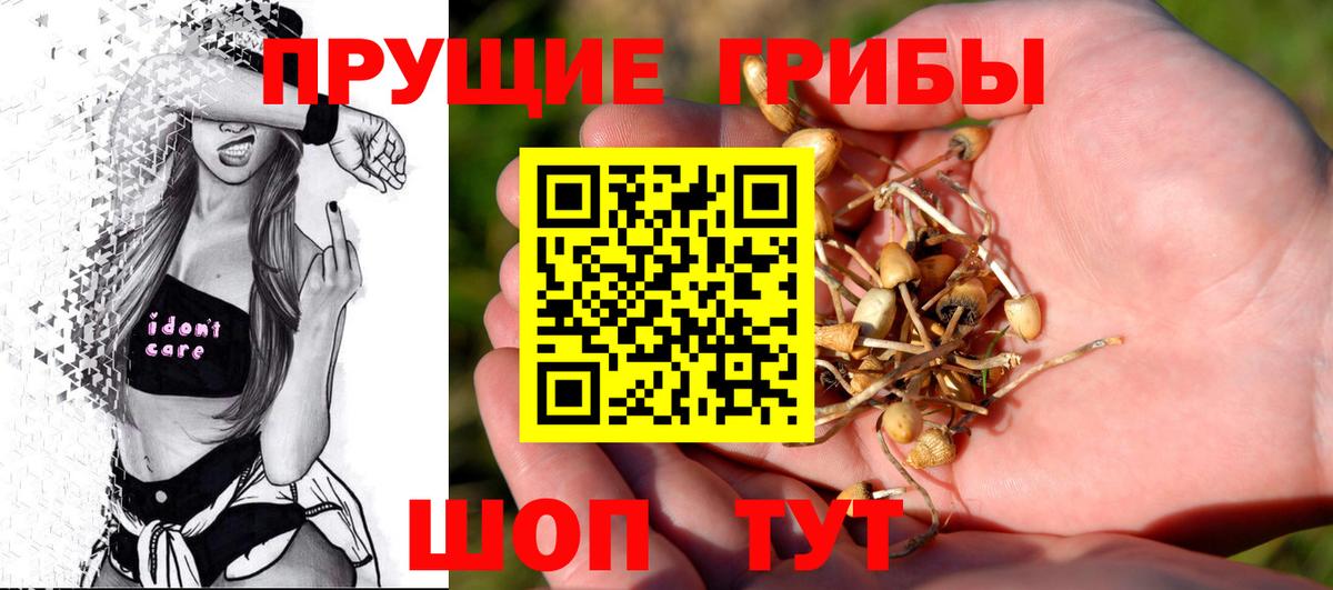 Галлюциногенные грибы MAGIC MUSHROOMS  Вход с VPN  Псилоцибиновые грибы Cubensis  Чистополь 